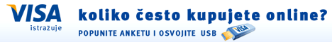 Visa - koliko �esto kupujete online